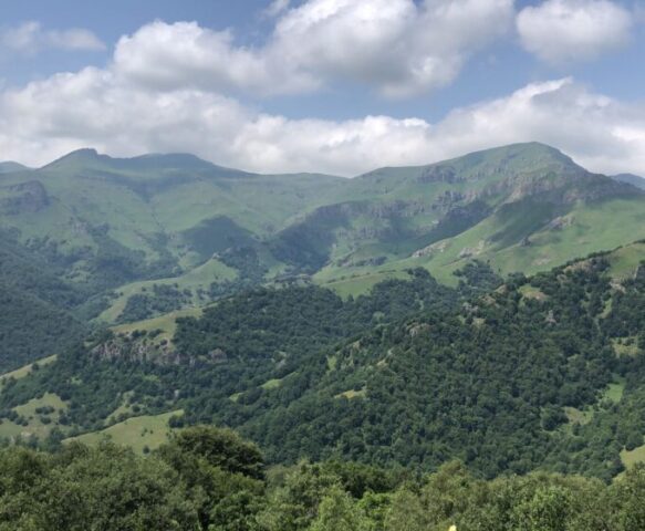grüne Berglandschaft in Armenien im Sommer 2025