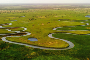 Luftaufnahme des Okavango-Deltas mit verzweigten Flussarmen, grüner Vegetation und weiten Überschwemmungsflächen in einer natürlichen Savannenlandschaft.