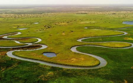 Luftaufnahme des Okavango-Deltas mit verzweigten Flussarmen, grüner Vegetation und weiten Überschwemmungsflächen in einer natürlichen Savannenlandschaft.