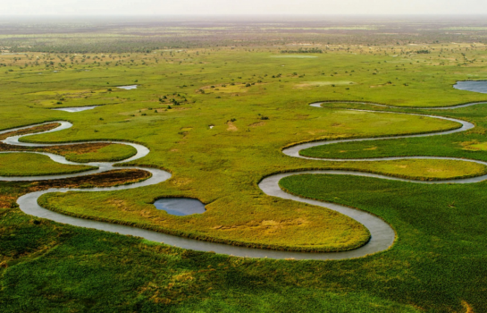 Luftaufnahme des Okavango-Deltas mit verzweigten Flussarmen, grüner Vegetation und weiten Überschwemmungsflächen in einer natürlichen Savannenlandschaft.