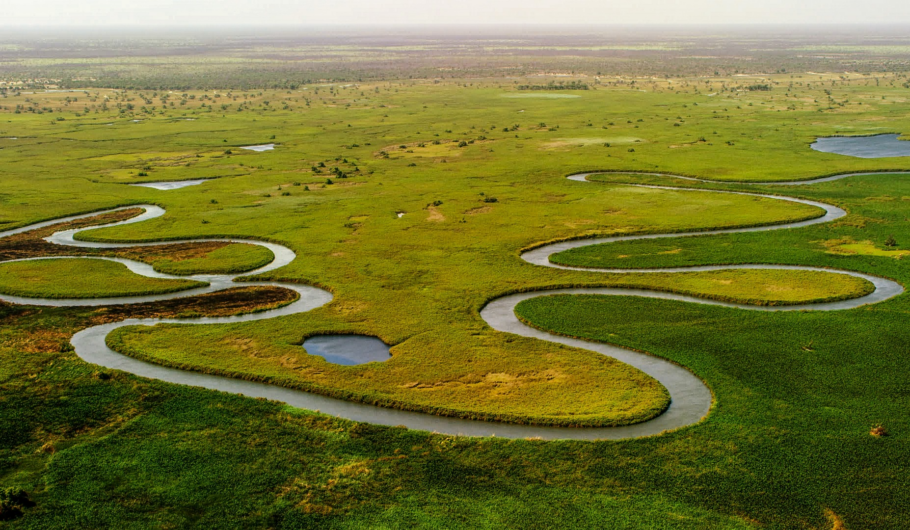 Luftaufnahme des Okavango-Deltas mit verzweigten Flussarmen, grüner Vegetation und weiten Überschwemmungsflächen in einer natürlichen Savannenlandschaft.