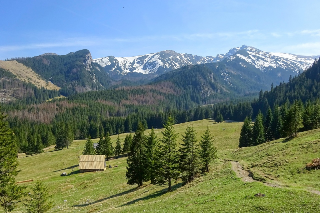 Eines der besten Reiseziele für Naturfreunde und Aktivreisende ist gemäß Travelbook Awards 2026 das Tatra Gebirge zwischen Polen uns der Slowakei.